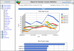 Sample report